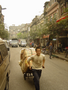 Chine052.jpg (960x1280)